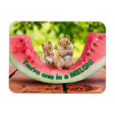 Search for picnic magnets Funny