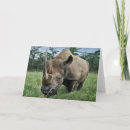 Search for rhinoceros cards Horn