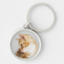 Search for pet sitting key rings Kitten