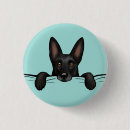 Search for german shepherd accessories Canine