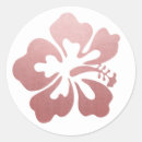 Search for hawaiian hibiscus stickers Tropical