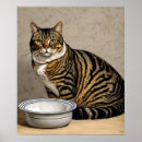 Search for feeding time Feline