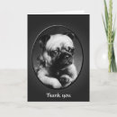 Search for pug thank you cards Puppies