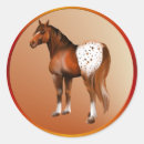 Search for appaloosas stickers Western