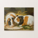 Search for guinea pig puzzles Rodent