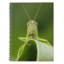 Search for insect lover notebooks Entomology