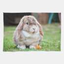 Search for cute bunny tea towels Happy easter
