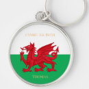 Search for welsh dragon Flag of wales