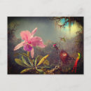 Search for cattleya orchid postcards Martin johnson heade