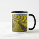 Search for napa valley mugs Landscape