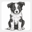 Search for border collie dog stickers Black and white dog