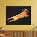 Search for image canvas prints Dog