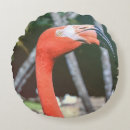 Search for birds photography Pink
