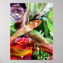 Search for banana leaf posters Colourful