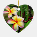Search for plumeria christmas tree decorations Maui