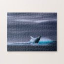 Search for breaching whale Water