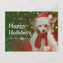 Search for chinese christmas cards Pets
