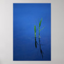 Search for calm waters posters Reflection