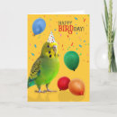 Search for budgie birthday cards Budgerigar