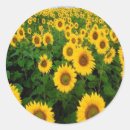 Search for country garden stickers Fall