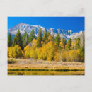 Search for alves postcards Forest