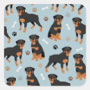 Search for rotty stickers Pet