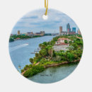 Search for tampa christmas tree decorations Skyline