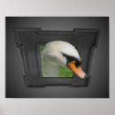 Search for regal posters Nature