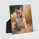 Search for dog photo display Baby