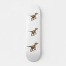 Search for dino skateboards Birthday