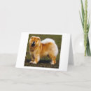 Search for chows cards Dog