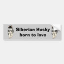 Search for husky bumper stickers Puppy