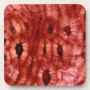Search for cell coasters Abstract