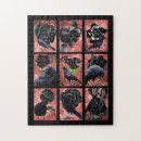 Search for crow puzzles Animals