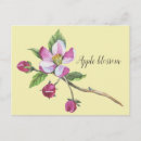 Search for apple tree blossoms postcards Pretty