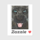 Search for panther cat stickers Animal