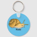 Search for snail shell key rings Molluscs