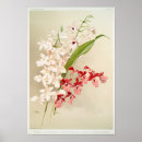 Search for exotic plants posters Botanical