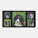 Search for bernese mousepads Animals