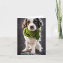Search for springer spaniel christmas cards Winter