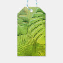 Search for plant gift tags Monstera