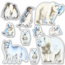 Search for kissing polar bears For kids