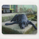 Search for river scene mousepads Outdoors