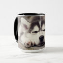 Search for husky puppy mugs Alaskan malamute