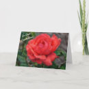 Search for design graduation cards College