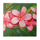 Search for frangipani tiles Plumeria