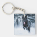 Search for black wolf key rings Animal