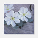 Search for arch magnets Foliage