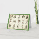 Search for herbs cards Herb garden