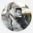 Search for gorillas stickers Primate